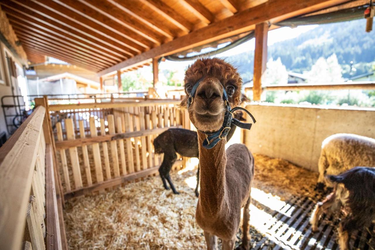 Bauernhof Vorderklinglhub Villa Flachau Bagian luar foto