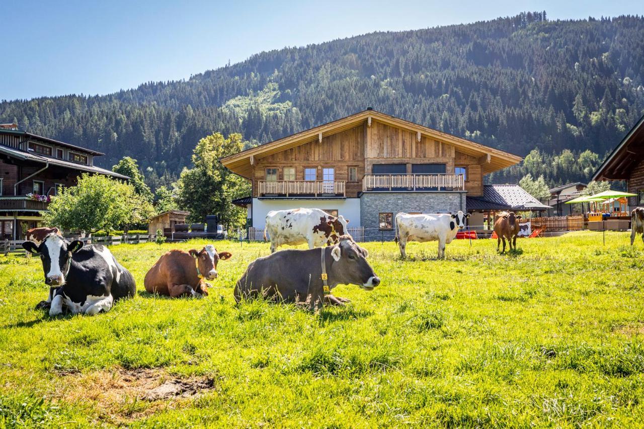 Bauernhof Vorderklinglhub Villa Flachau Bagian luar foto