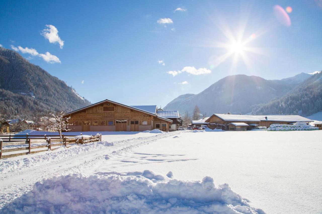 Bauernhof Vorderklinglhub Villa Flachau Bagian luar foto